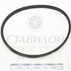 Ремень  РТП МОК-150/300 Привода    к009606