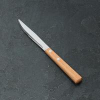 Нож для стейка 11 см  Эко-стейк