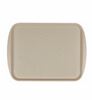 Поднос столовый 45х35 см бежевый полистирол  Рестола 1156