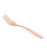 Вилка десертная BCN COLORS нерж.сталь 18/0 B3 мм L185 мм BCN COLORS медный Comas